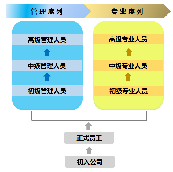 it技術(shù)人員_it人員的職業(yè)規(guī)劃_it人員