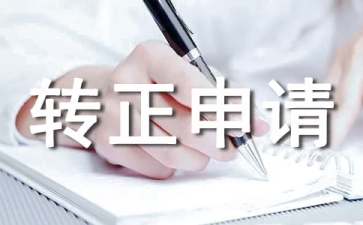 IT技術(shù)員轉(zhuǎn)正申請(qǐng)書