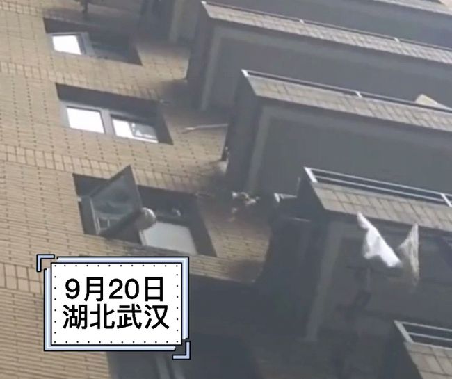 武漢監(jiān)控安裝電話_武漢監(jiān)控安裝_監(jiān)控安裝,監(jiān)控?cái)z像頭安裝