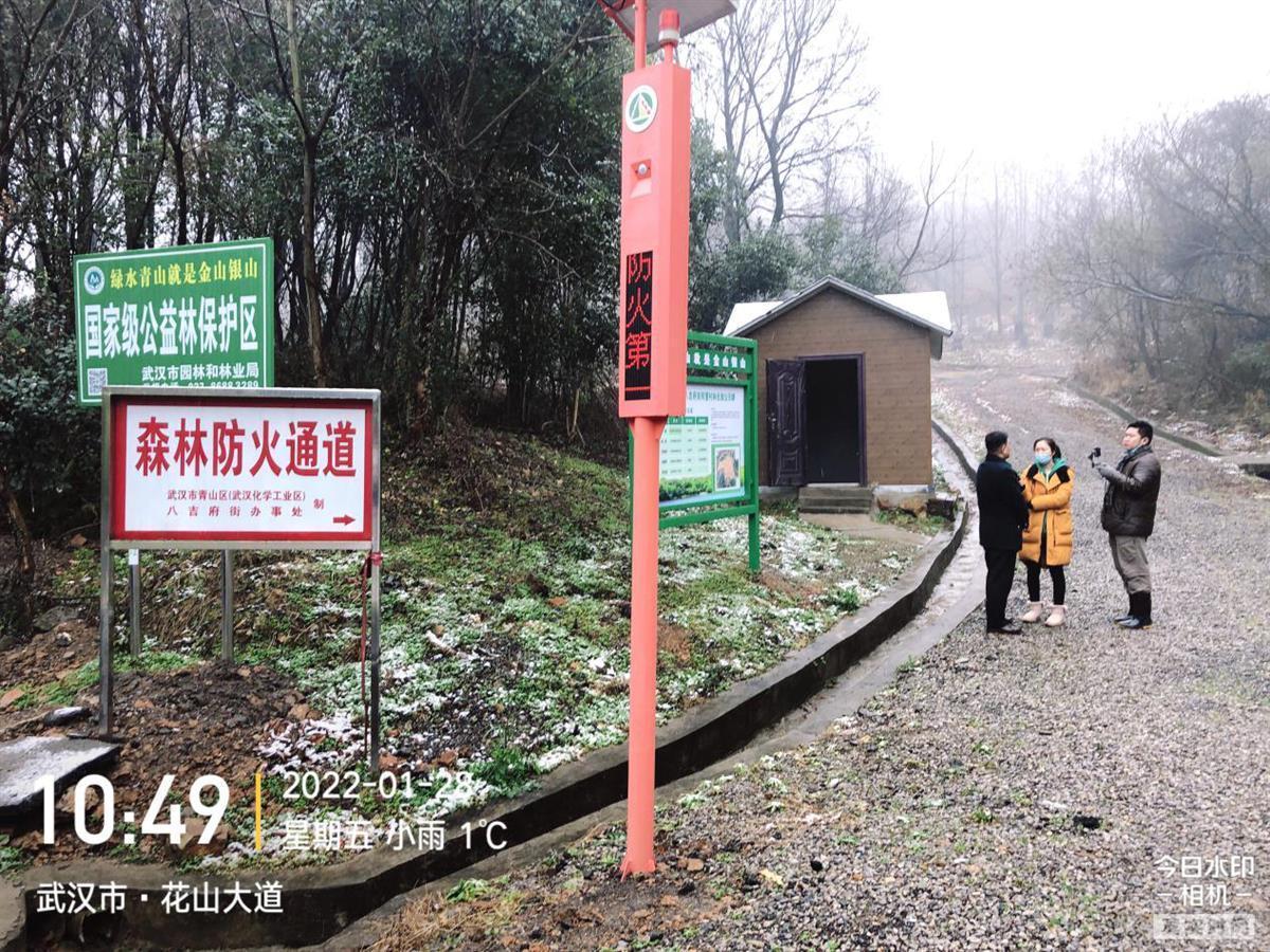 武漢織密森林“防火網(wǎng)”！千余護(hù)林員每日巡查 智能攝像頭監(jiān)控90萬畝生態(tài)林