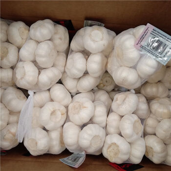 it外包服務(wù)公司_it服務(wù)外包_it維護(hù)外包