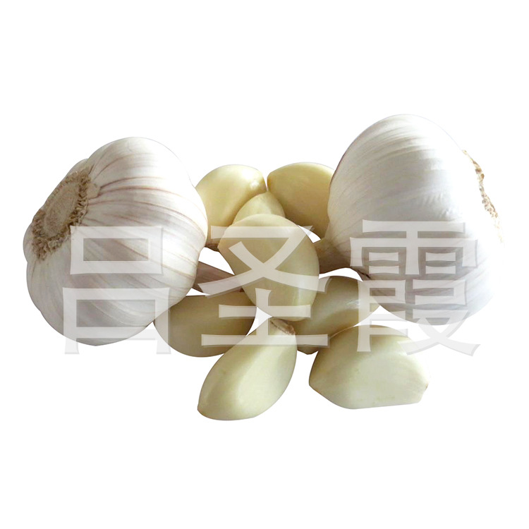 it外包服務(wù)公司_it維護(hù)外包_it服務(wù)外包