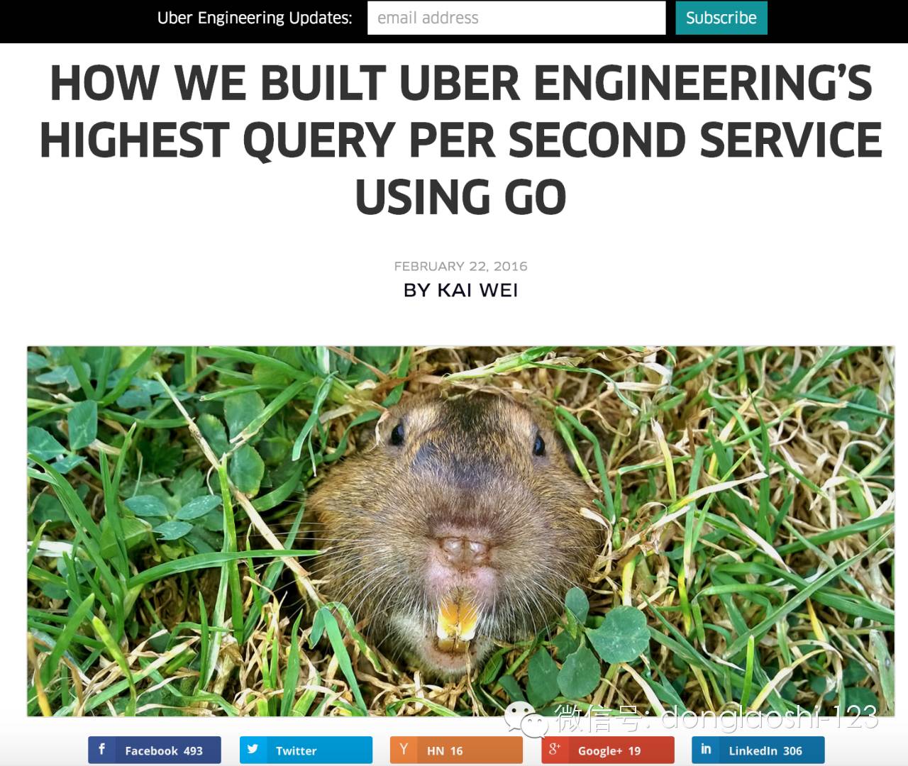 it技術(shù)公司_國(guó)內(nèi)最好的it技術(shù)博客_it公司 互聯(lián)網(wǎng)公司